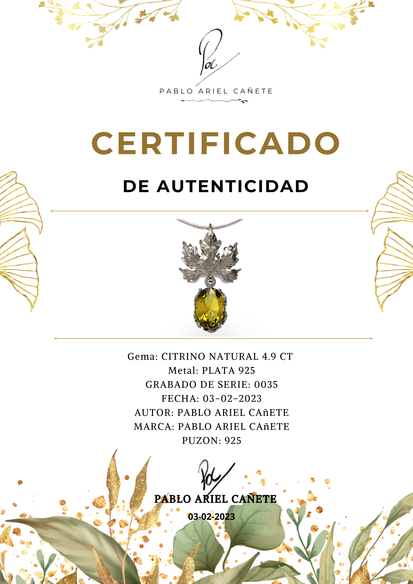 Certificado de Joyeria de Autor Pablo Ariel Cañete www.Pabloarielcanete.com