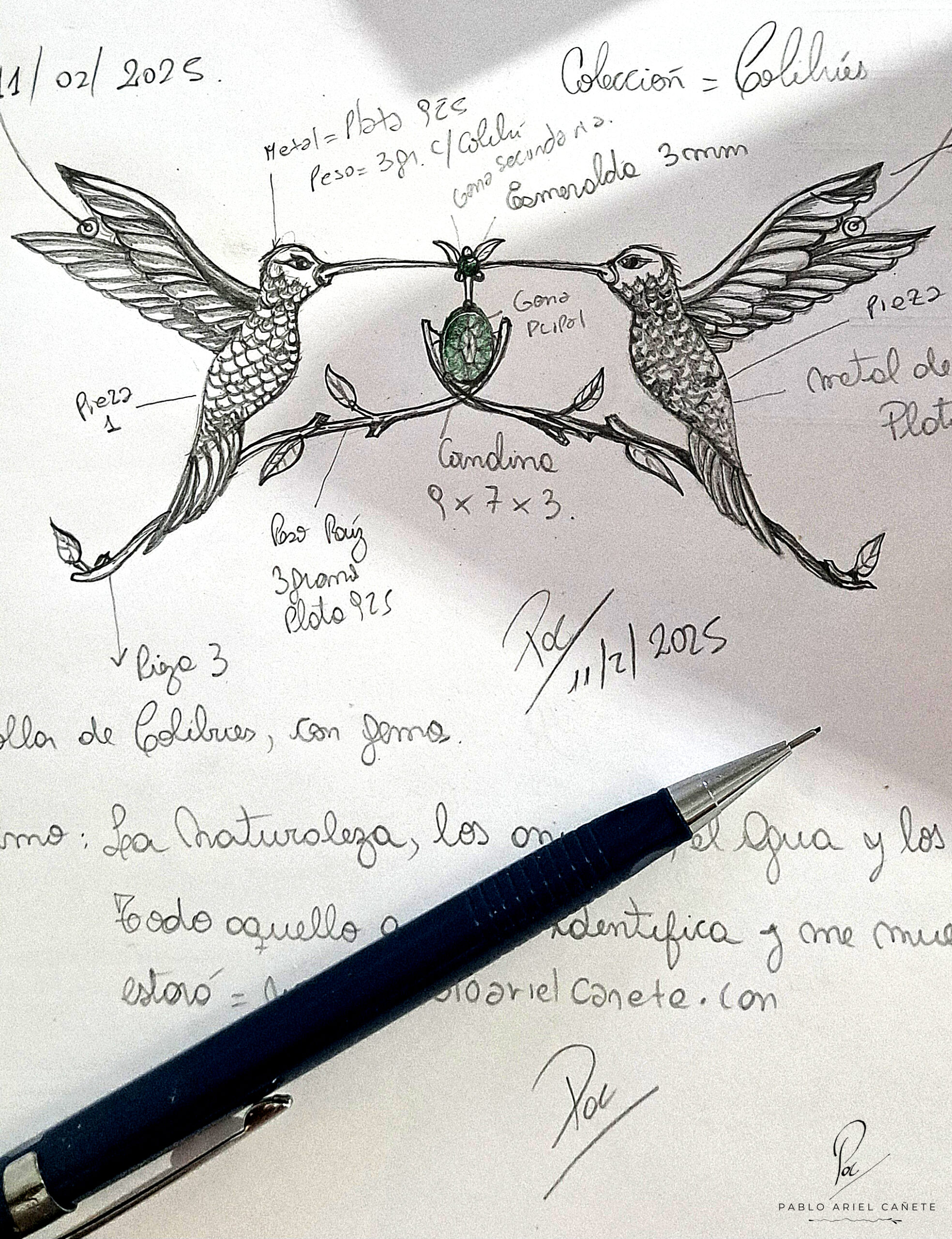 Dibujo a mano alzada Colibríes www.pabloarielcanete.com