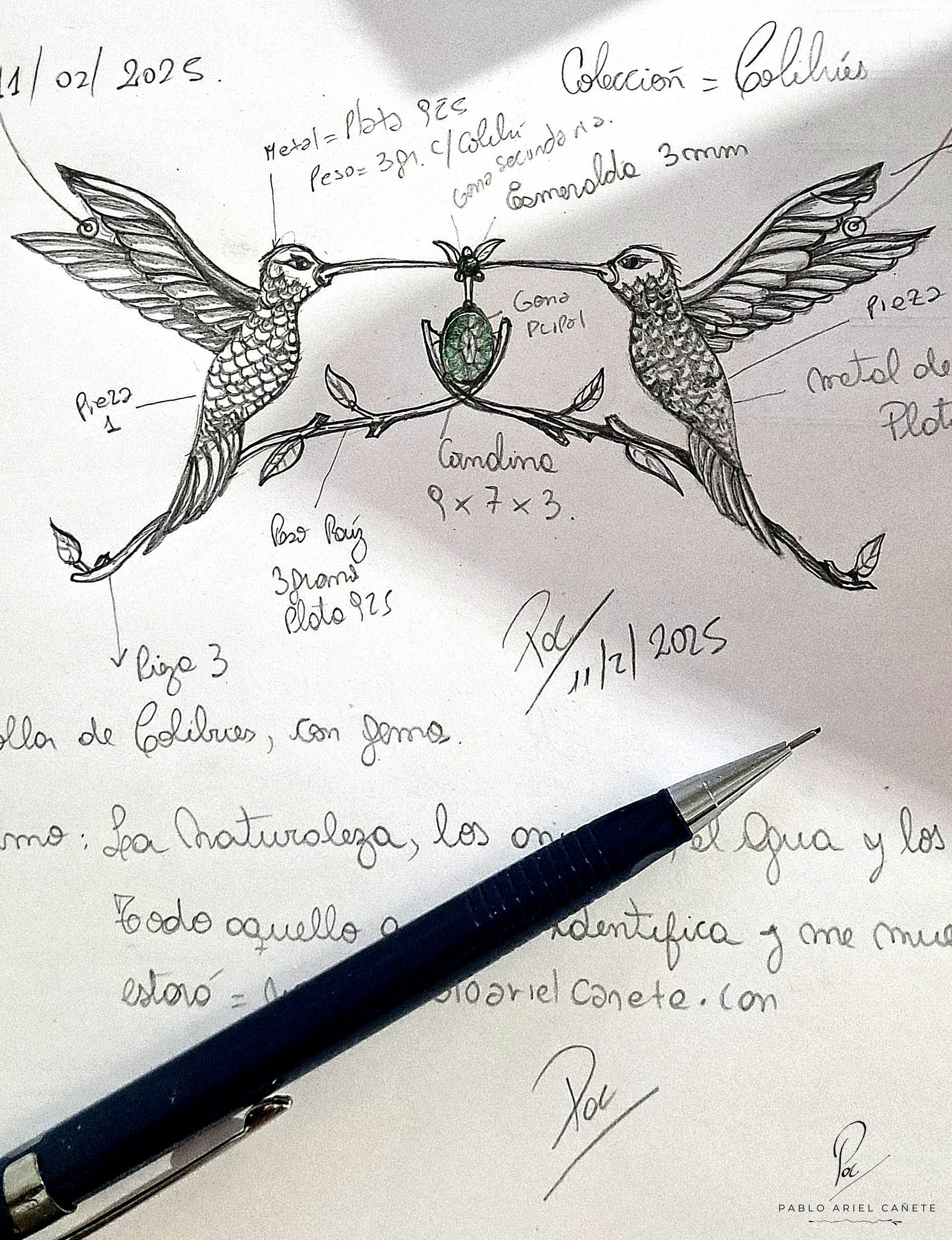 Dubujo del collar de colibries www.pabloarielcanete.com