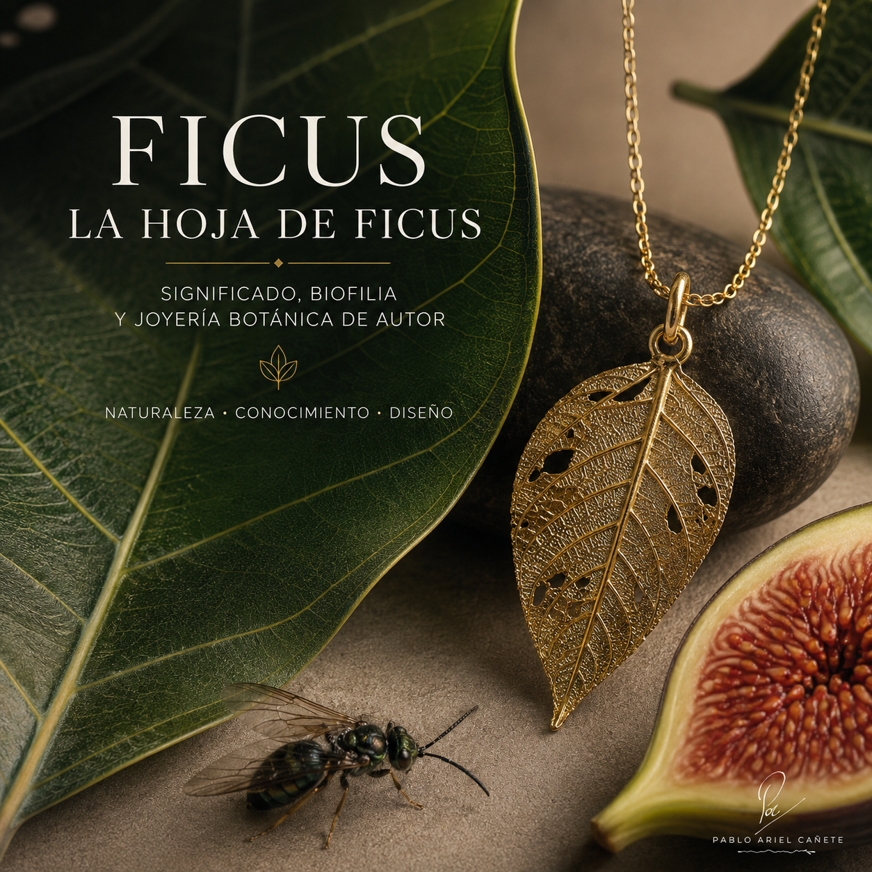 Hojas de Ficus simbolismo significados espiritual y joyeria www.pabloarielcanete.com
