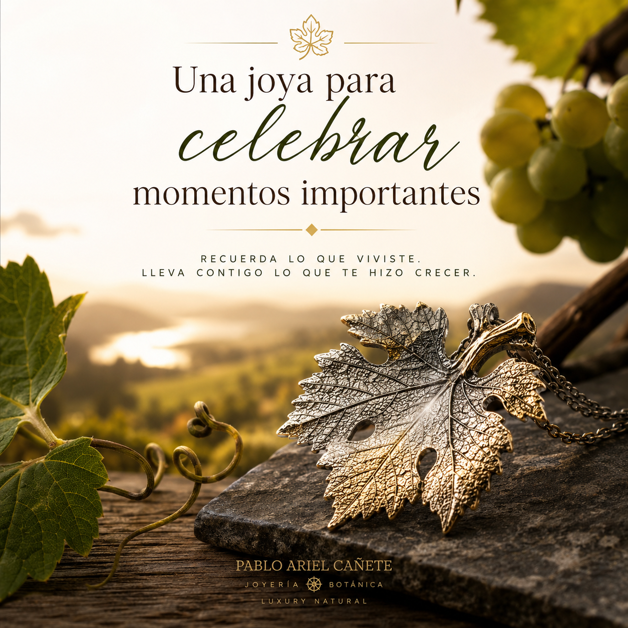 Una joya para celebrar momentos importantes www.pabloarielcanete.com Una joya para celebrar momentos importantes www.pabloarielcanete.com